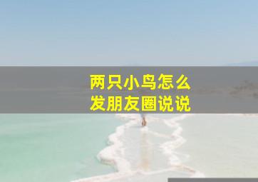 两只小鸟怎么发朋友圈说说