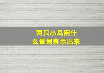 两只小鸟用什么量词表示出来