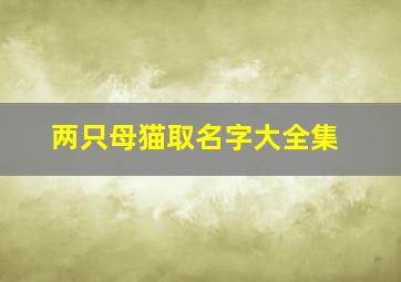 两只母猫取名字大全集