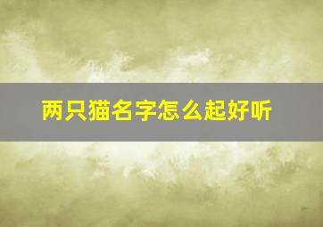 两只猫名字怎么起好听