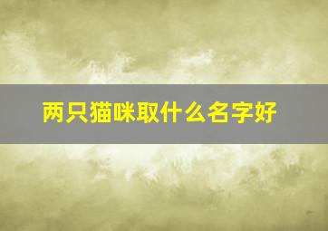 两只猫咪取什么名字好