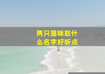 两只猫咪取什么名字好听点