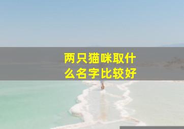 两只猫咪取什么名字比较好