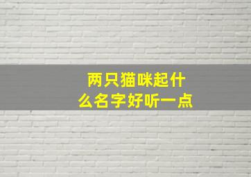 两只猫咪起什么名字好听一点