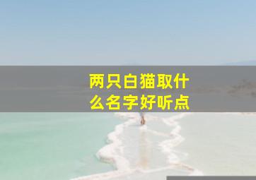 两只白猫取什么名字好听点