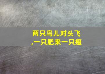 两只鸟儿对头飞,一只肥来一只瘦