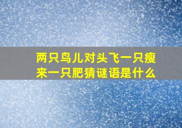 两只鸟儿对头飞一只瘦来一只肥猜谜语是什么