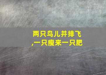 两只鸟儿并排飞,一只瘦来一只肥