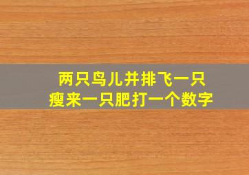 两只鸟儿并排飞一只瘦来一只肥打一个数字