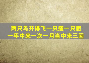 两只鸟并排飞一只瘦一只肥一年中来一次一月当中来三回