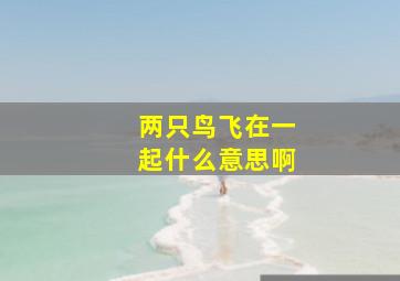 两只鸟飞在一起什么意思啊