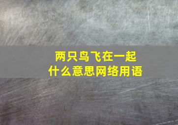 两只鸟飞在一起什么意思网络用语