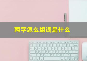 两字怎么组词是什么