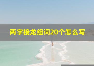 两字接龙组词20个怎么写