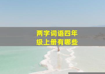 两字词语四年级上册有哪些