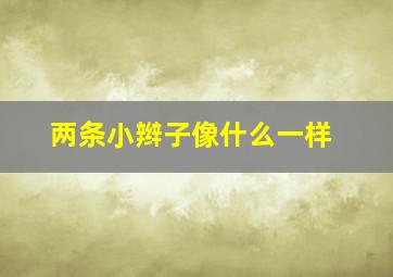 两条小辫子像什么一样