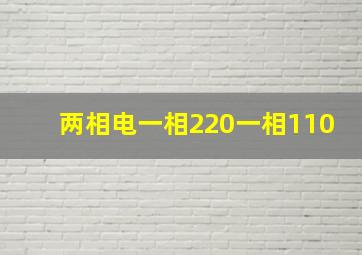 两相电一相220一相110