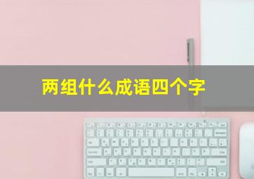 两组什么成语四个字