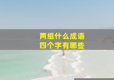 两组什么成语四个字有哪些