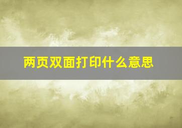 两页双面打印什么意思