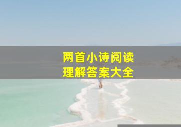 两首小诗阅读理解答案大全