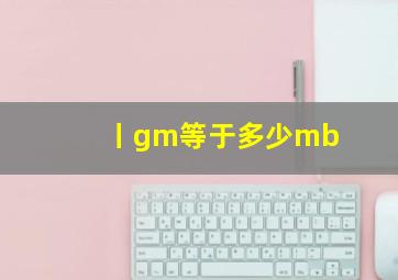 丨gm等于多少mb