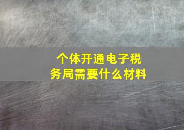 个体开通电子税务局需要什么材料