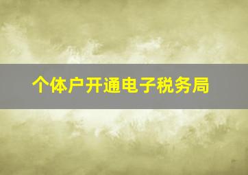 个体户开通电子税务局