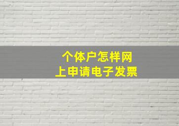 个体户怎样网上申请电子发票