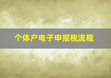 个体户电子申报税流程