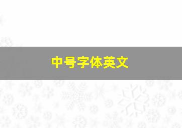 中号字体英文