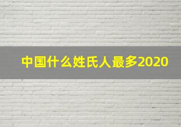 中国什么姓氏人最多2020