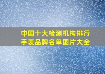 中国十大检测机构排行手表品牌名单图片大全