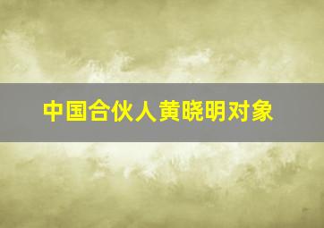 中国合伙人黄晓明对象