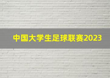 中国大学生足球联赛2023