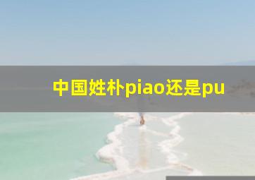 中国姓朴piao还是pu