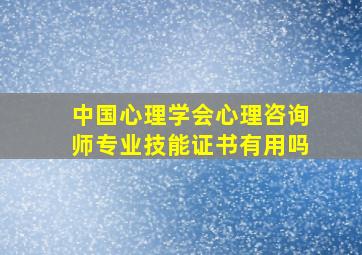 中国心理学会心理咨询师专业技能证书有用吗