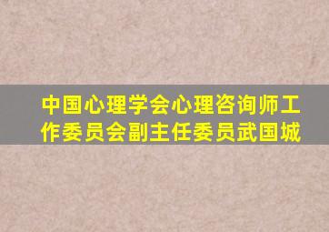 中国心理学会心理咨询师工作委员会副主任委员武国城