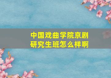 中国戏曲学院京剧研究生班怎么样啊