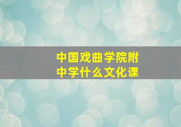 中国戏曲学院附中学什么文化课