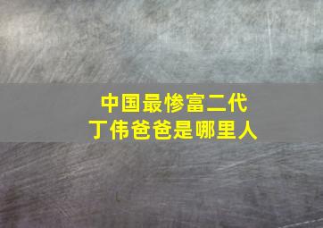 中国最惨富二代丁伟爸爸是哪里人