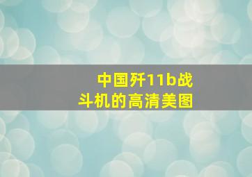 中国歼11b战斗机的高清美图