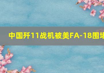 中国歼11战机被美FA-18围堵