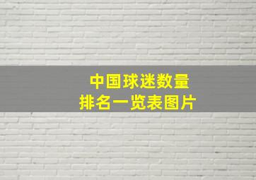 中国球迷数量排名一览表图片