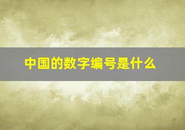 中国的数字编号是什么