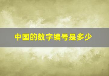 中国的数字编号是多少