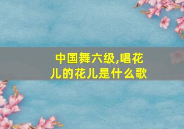 中国舞六级,唱花儿的花儿是什么歌