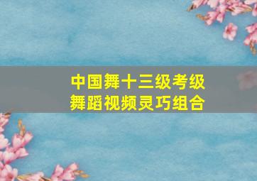 中国舞十三级考级舞蹈视频灵巧组合