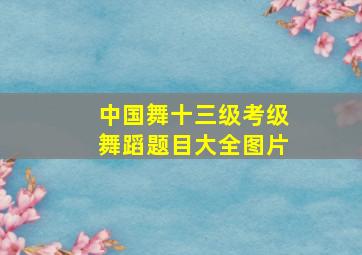 中国舞十三级考级舞蹈题目大全图片