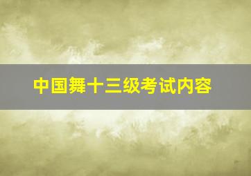 中国舞十三级考试内容